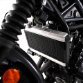 R&G Racing Pro Radiator Guard for the Honda CMX Rebel 500 '17-23 R&G Racing Pro Radiator Guard for the Honda CMX Rebel 500 '17-23